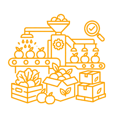 Packaging and Processing