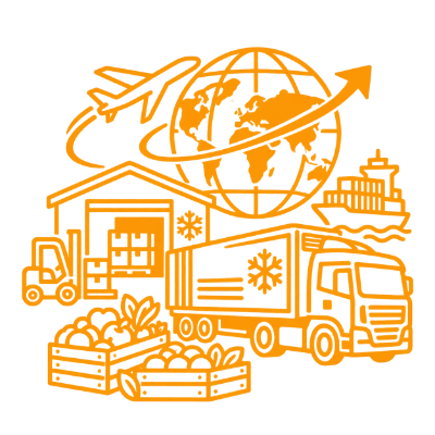 Logistics and Export Coordination